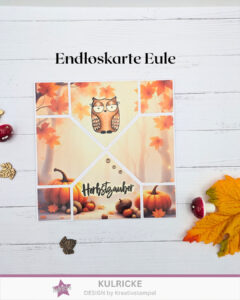 Endloskarte Eule