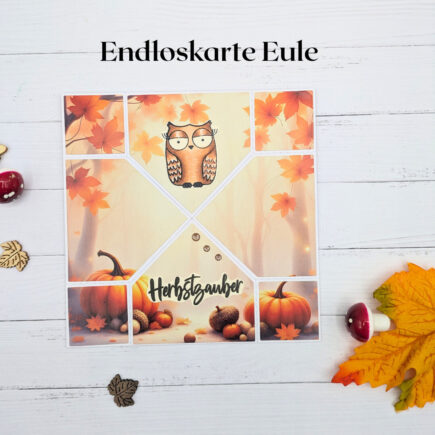 Endloskarte Eule