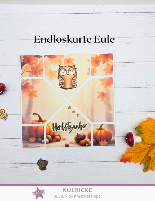 Endloskarte Eule